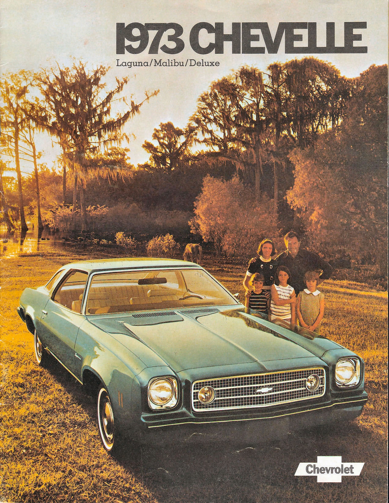 n_1973 Chevrolet Chevelle (Cdn)-01.jpg